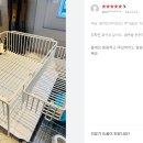 조작없는 100% 진심후기 주부디자인 식기건조대 후기 자랑