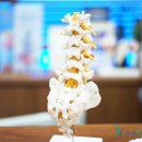 연세힐마취통증의학과의원 이미지