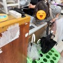 제이앤제이글로벌 | 타이거즈 원정 숙소 , 성심당 생귤롤, 베라 27큐브 케이크 후기, 주변 맛집 추천 / 라부부 인형옷 구매후기