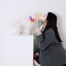 리포토스튜디오