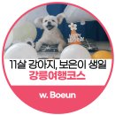 [강릉] 애견동반여행 코스정리, J의 여행 기록