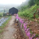 대문농장 이미지