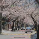 동삼3동-3 이미지