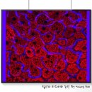 세포농장 이미지