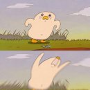 (유)초지 이미지