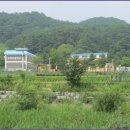 교학초등학교 이미지