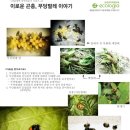 에콜로지아 이미지