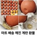 하나플러스마트 | 홈플러스 마트 배송 깨진 계란들 파손 교환 및 환불 후기