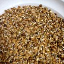 솔로몬농장 이미지