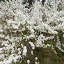 충훈고등학교 이미지