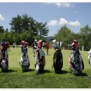 용평 버치힐골프클럽 이미지