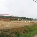 지명인베스트 부동산중개법인 이미지