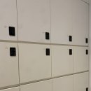 [주말] 민화 | 아모레퍼시픽미술관 “조선민화전” 주말 관람후기 _ 난 호작도가 참 조트라!! 🐯 _현장구매 티켓가격