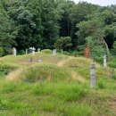 박우현 묘소 이미지