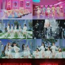 피어리스네일 이미지