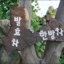 자연주의와산야초 이미지