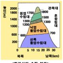 3.환경과 인간 - 1. 생물권과 환경 요소 - (2) 생물의 집단 이미지