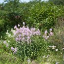 흙집정원 이미지