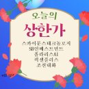 한선미디어