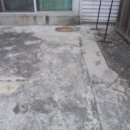 사파동114 이미지