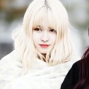 모모사