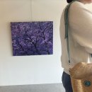 도하메드 이미지