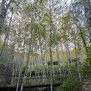 바른골프클럽 | 경기 광주 볼거리 : 화담숲 (조금 다른 시선의 후기)