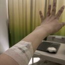 리본한방병원 | 강남차병원 1월 제왕절개 출산 후기 ❤️ (feat. 차동현 원장님)