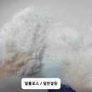 제로 칼로리의 달콤함! 스윗케어 알룰로스로 만든 소고기 장조림
