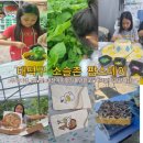 그린팜스테이 | 대전팜스테이 소슬촌 농촌 관광체험 및 워케이션 체류형 팜스테이 소슬촌 1박2일 가족여행