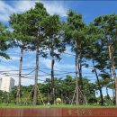 만석공원 이미지