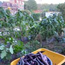 튼튼영재어린이집 이미지