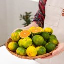 누리는농부 | 제주 꼬마과 9kg, 진한 맛을 한껏 누리다!