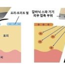 테라뷰티 - 남구 팔등로51번길 35 | 테라뷰티