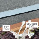 하동녹차팥빙수
