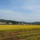 파주삼릉 이미지