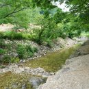 청강수계곡펜션 이미지