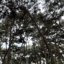 완주군립둔산영어도서관 | 완주군립둔산영어도서관 &lt;책이음서비스&gt;