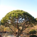 지리산 농장 이미지