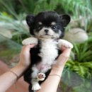 연제구-045 이미지