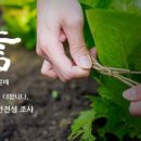 국립농산물품질관리원 영월 이미지