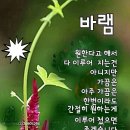 수지상사 이미지