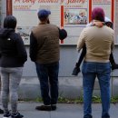 pet 10라 3194 이미지