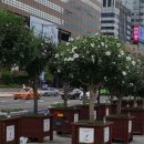 전북산림환경연구소(산림청) 이미지