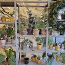 만나농장 이미지