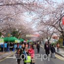 정무관 합기도 이미지