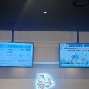 11545-05-15-13 | <블챌 13주 차> 대전 신세계백화점 엑스포 아쿠아리움 후기