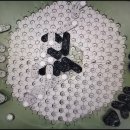 창의의 숲 이미지