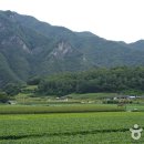 김삿갓면-36 이미지