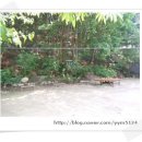 치악산민박 이미지